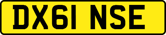 DX61NSE