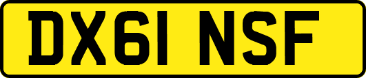 DX61NSF