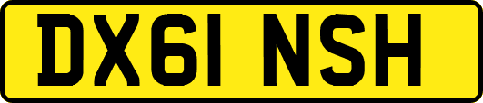 DX61NSH