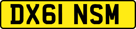 DX61NSM