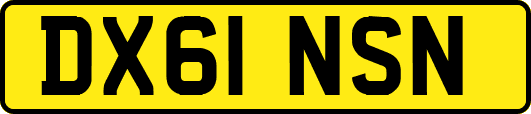 DX61NSN