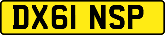 DX61NSP
