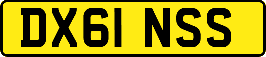 DX61NSS