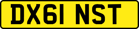 DX61NST