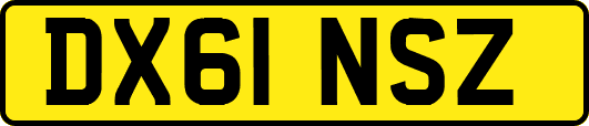 DX61NSZ