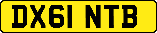 DX61NTB