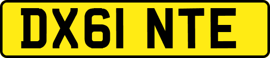 DX61NTE