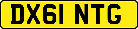 DX61NTG