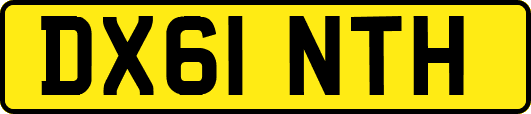 DX61NTH