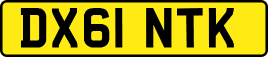 DX61NTK