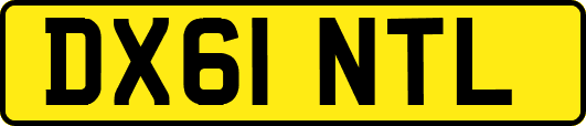 DX61NTL