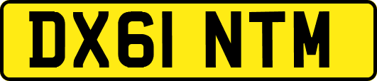 DX61NTM