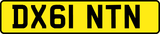 DX61NTN