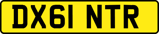 DX61NTR