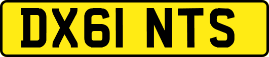 DX61NTS