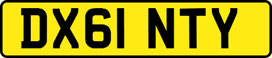 DX61NTY