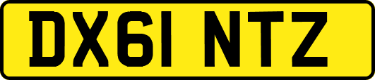 DX61NTZ