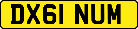 DX61NUM