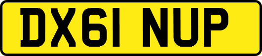 DX61NUP