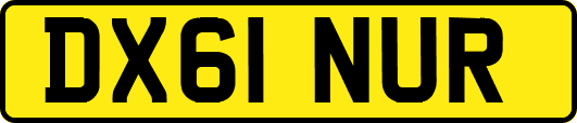 DX61NUR