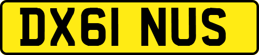DX61NUS