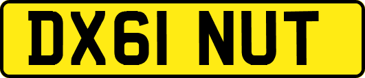 DX61NUT