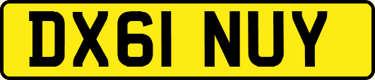 DX61NUY