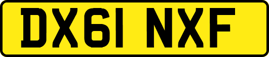DX61NXF