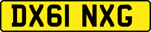 DX61NXG
