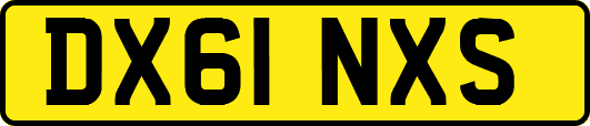 DX61NXS