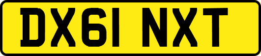 DX61NXT