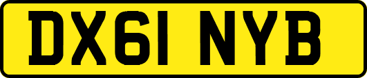 DX61NYB