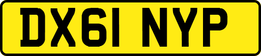 DX61NYP