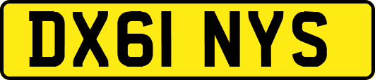 DX61NYS