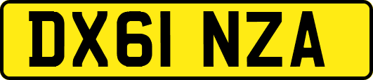 DX61NZA
