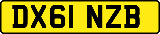 DX61NZB