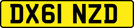 DX61NZD