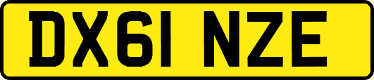 DX61NZE