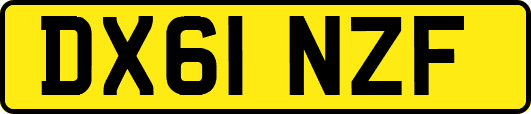 DX61NZF