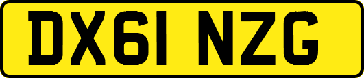 DX61NZG