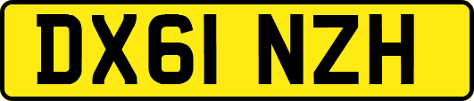 DX61NZH
