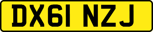 DX61NZJ