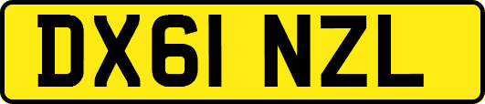 DX61NZL