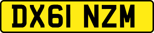 DX61NZM