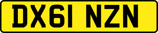 DX61NZN