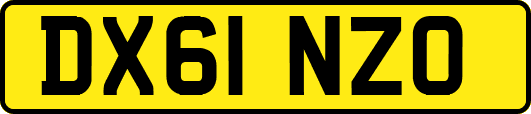 DX61NZO