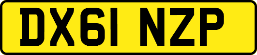 DX61NZP