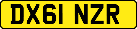 DX61NZR