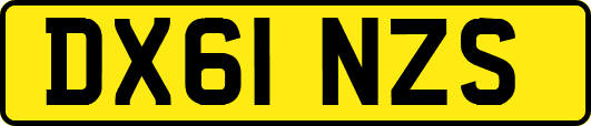 DX61NZS
