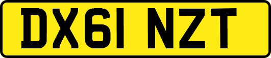 DX61NZT
